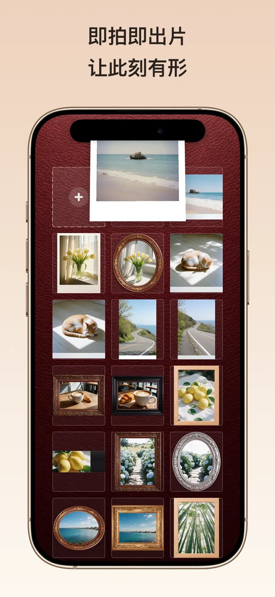 InstaPic iOS 商店发布预览 3