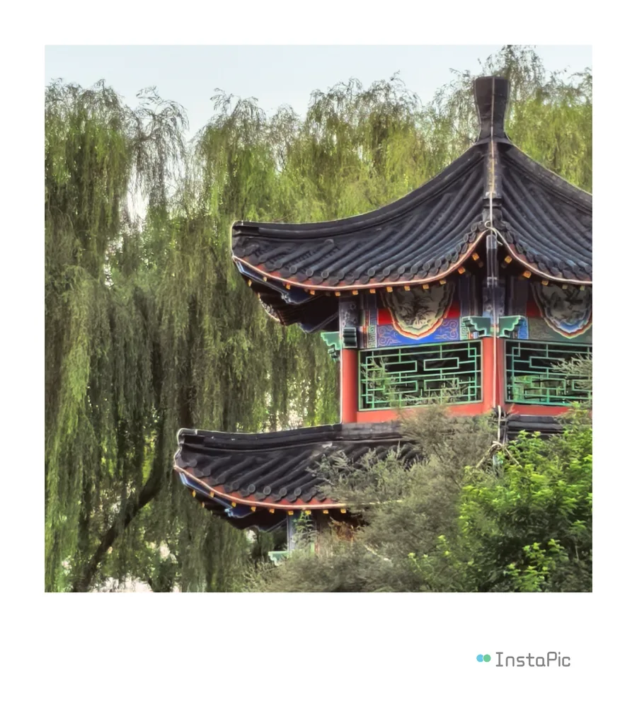 公园漫步，摄影：老马